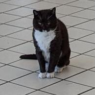 Fundraising Page: Capitaland Motors